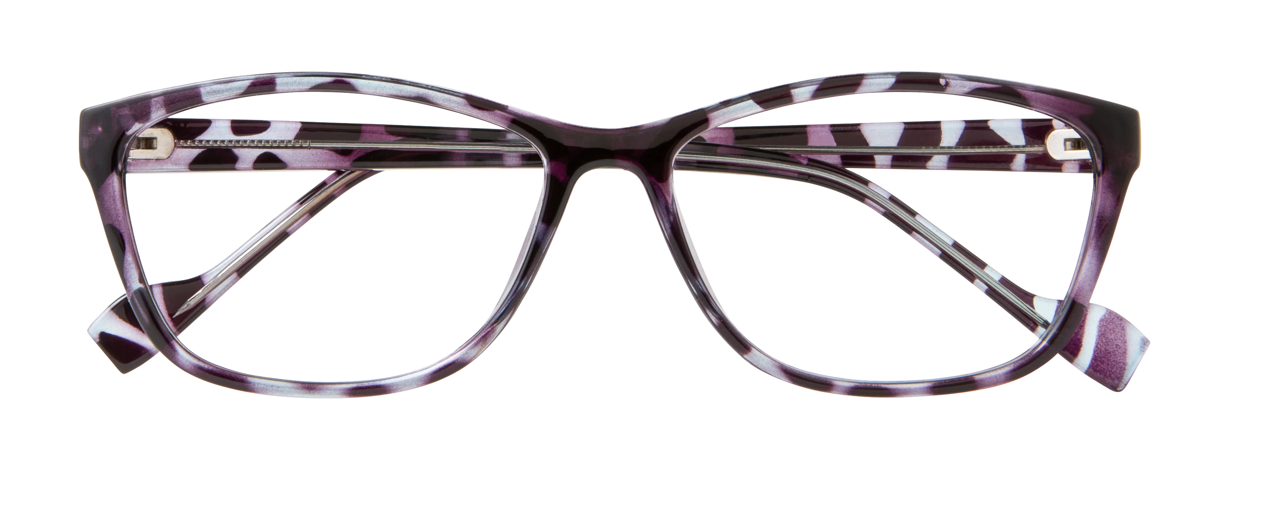 ECV BRENDA - Image 5
