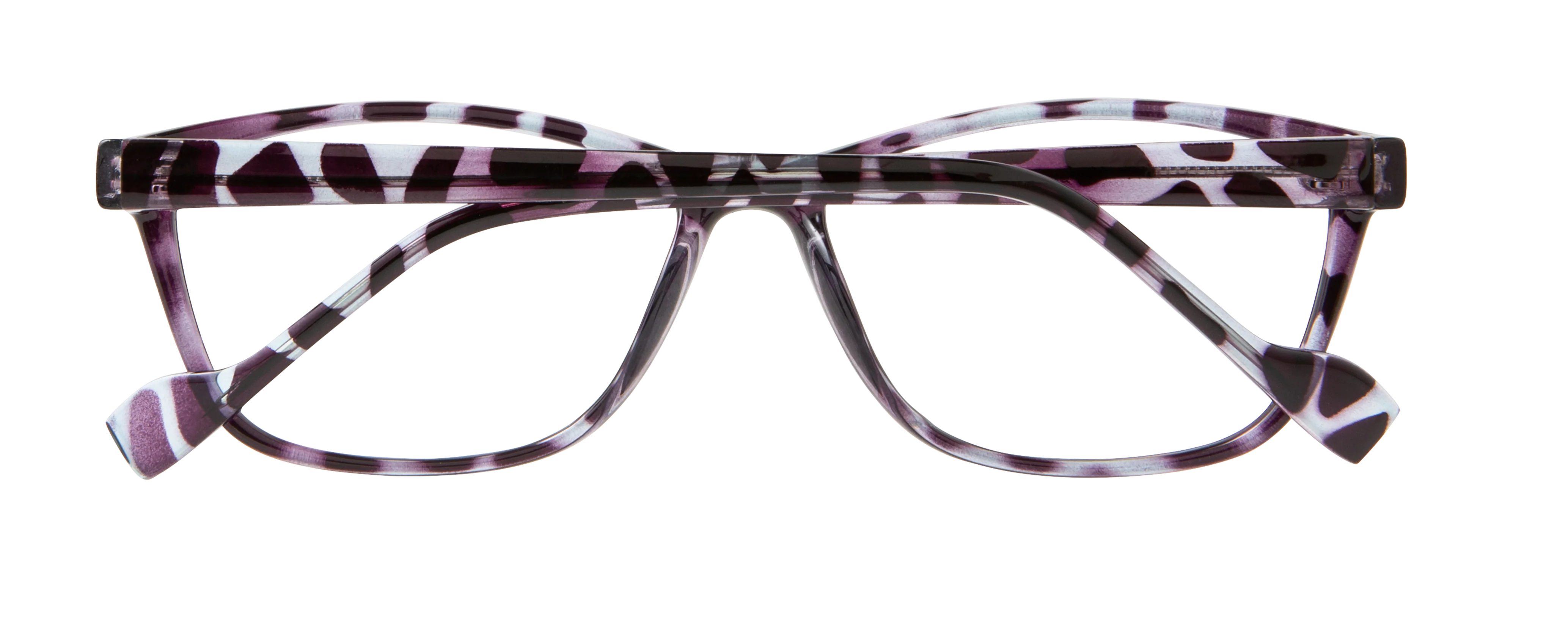 ECV BRENDA - Image 8
