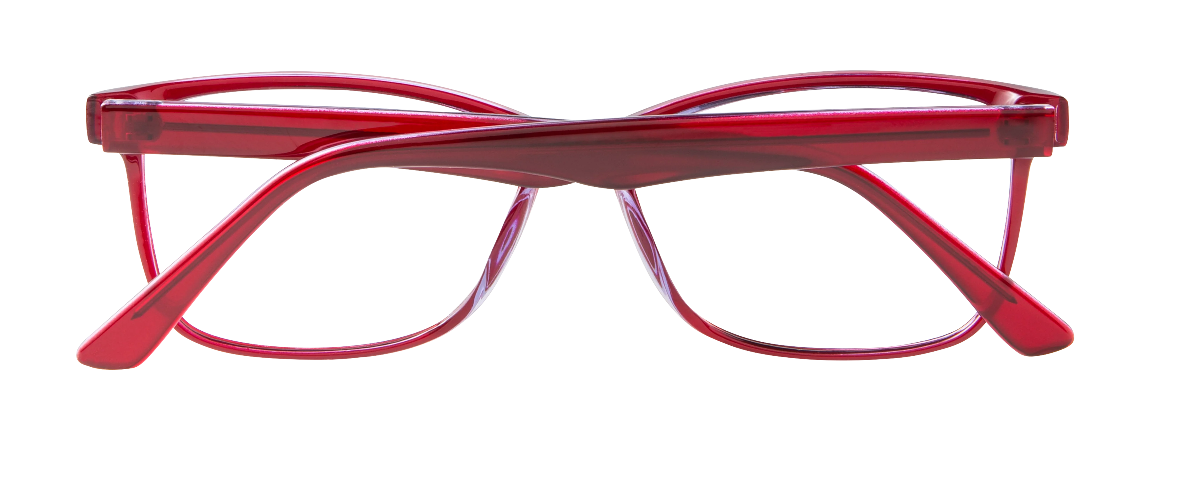 ECV MARGO - Image 4