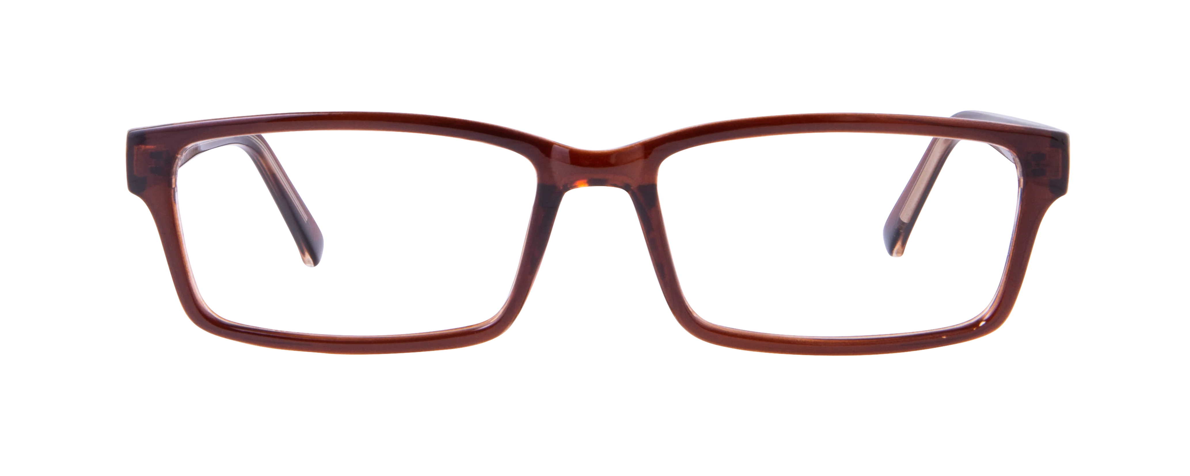 ECV OWEN - Image 3